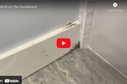 Is that mold on the baseboard?