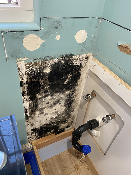 picture of a house that has the mold and will be getting Orange County mold removal services