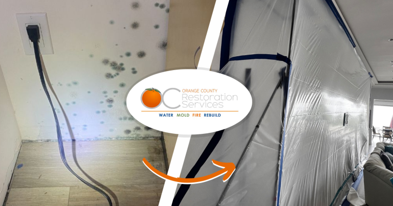 Preventing Cross-Contamination
