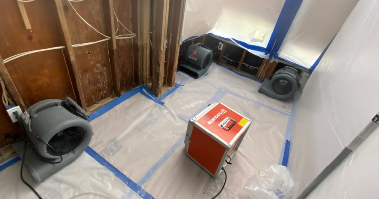 Signs You Need Emergency Water Cleanup