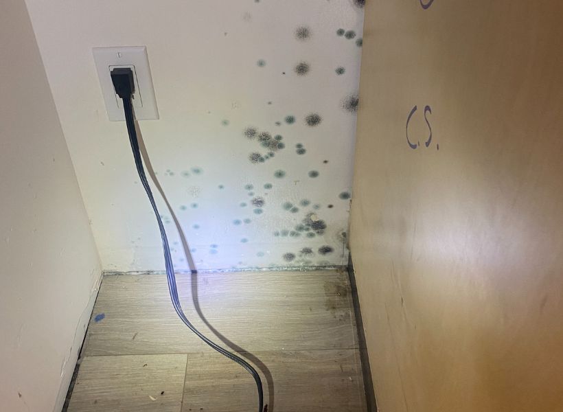 refrigerator line water leak - mold on the drywall