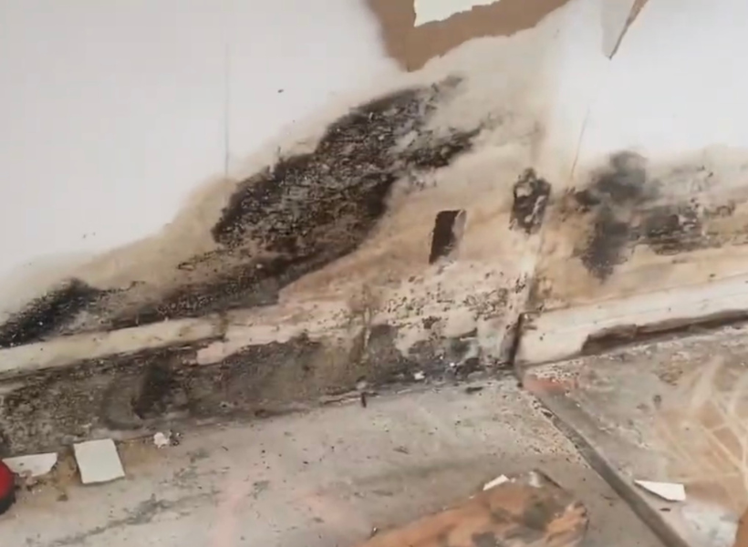 visible drywall water and mold damage