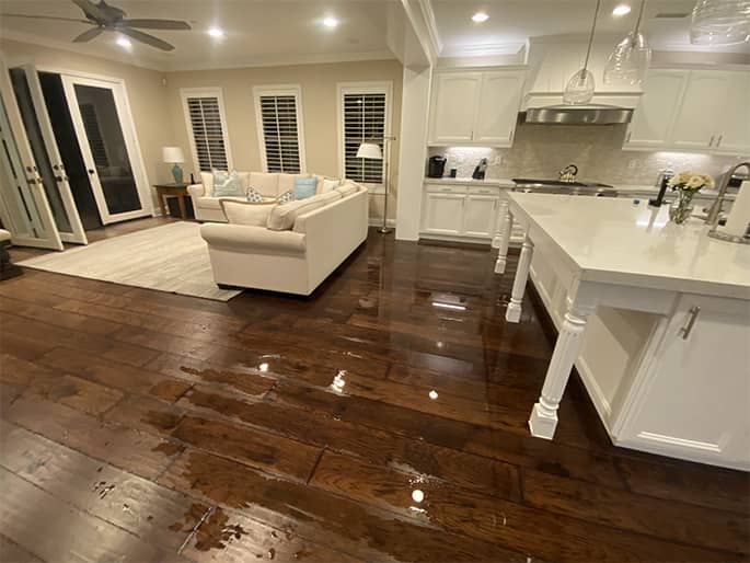Your Newport Beach Water Damage Experts