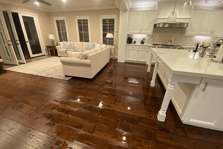 Water-Damage-in-Newport-Beach-Luxury-Homes-What-Property-Owners-Need-to-Know