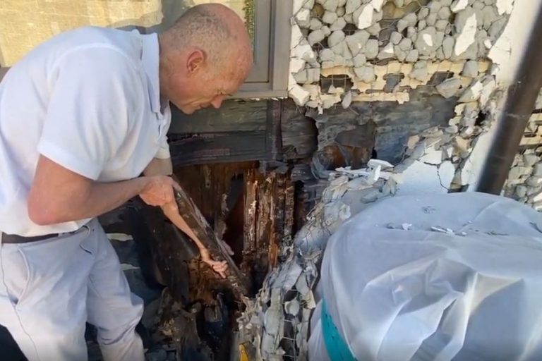 How Poria Fungus Destroys Homes A Real Coto de Caza Example