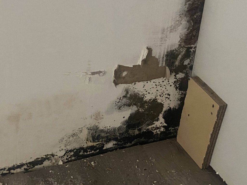 Mold Remediation for Balboa Island Properties