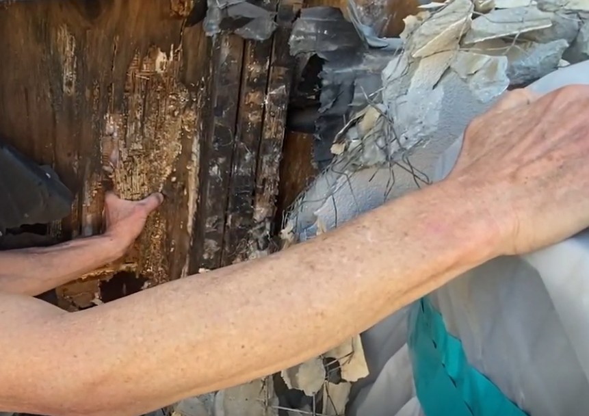 White poria fungus growth covering wall studs in Coto de Caza home