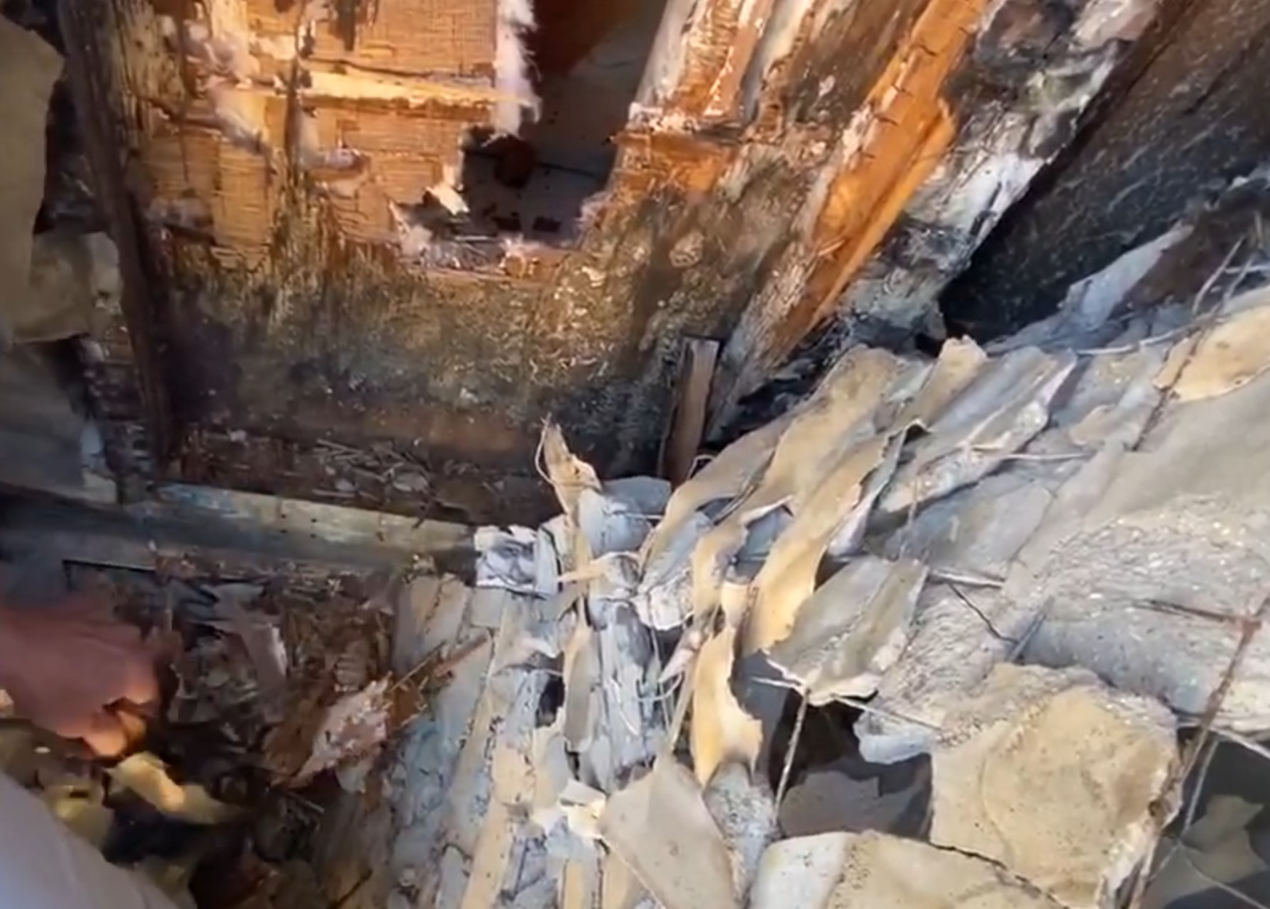 Close-up of wood destroyed by poria fungus infection