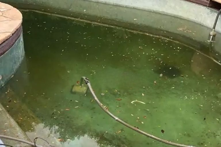 What Fire Damage Really Affects