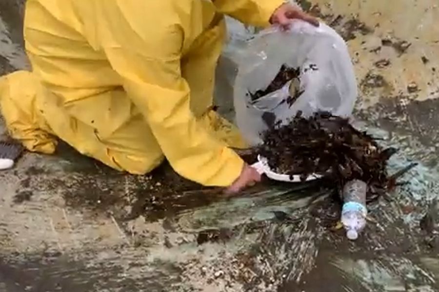 Sweeping and scooping debris from a fire-damaged pool