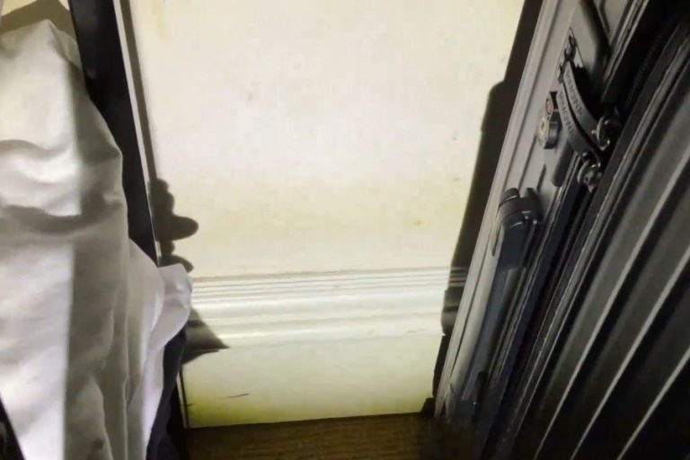 Surface Mold vs. Serious Mold Problems