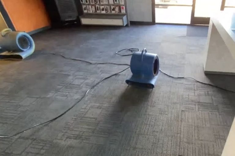 What Orange County Business Owners Should Expect After a Commercial Sewage Flood