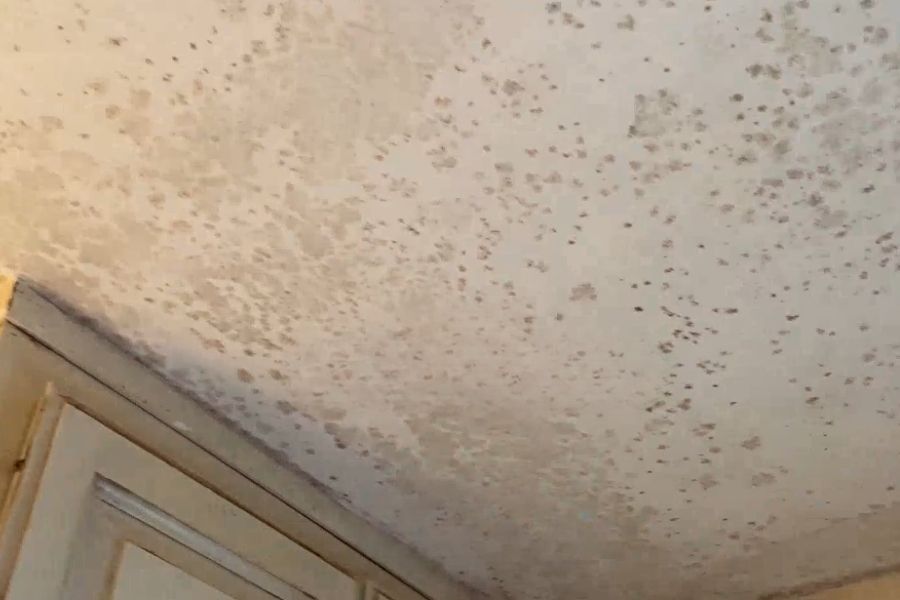 Mold growing on bathroom ceiling in Newport Beach home
