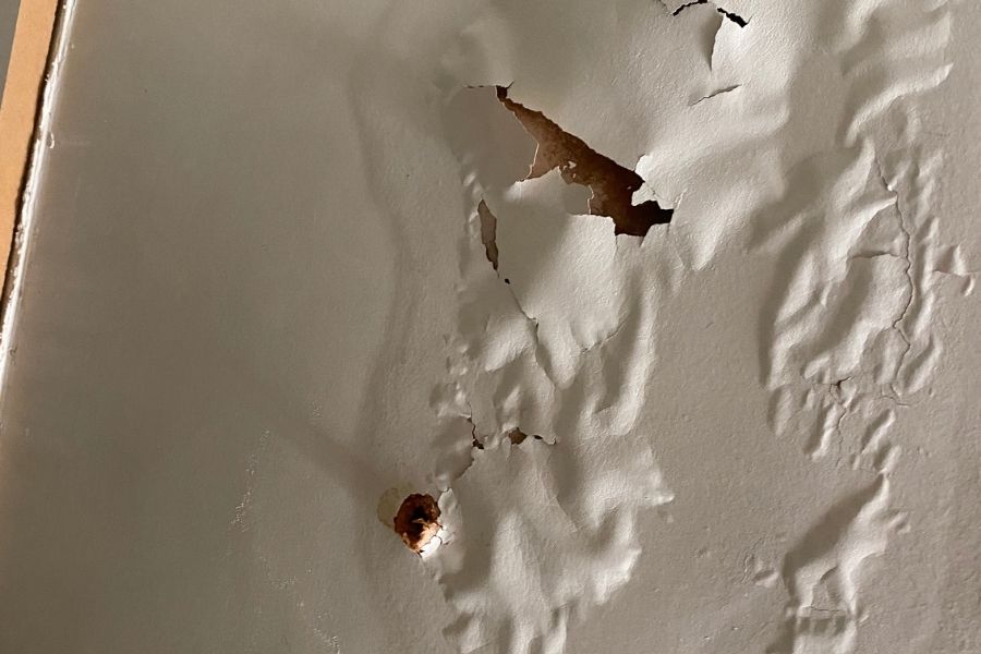 Peeling paint on actually wet drywall showing real water damage signs